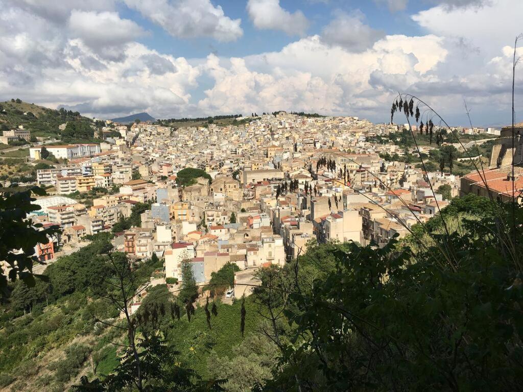 La Domus Di Segesta "Smart Solution" Διαμέρισμα Calatafimi Εξωτερικό φωτογραφία